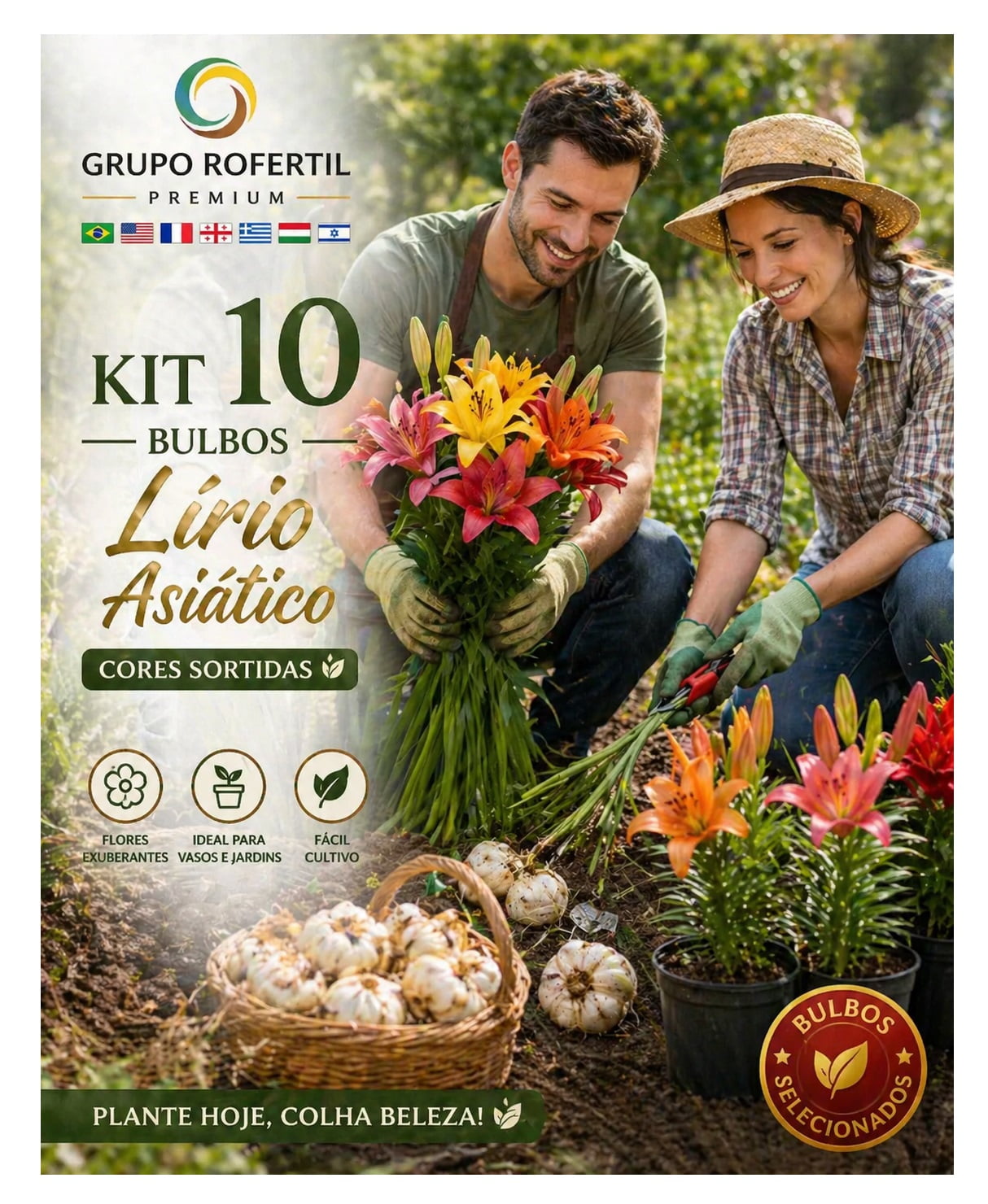 Kit 10 Bulbos Lírio Asiático Para Um Jardim Mais Bonito e Colorido