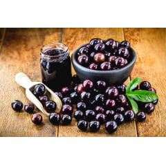 Adubo para Jabuticaba Fastpower 10kg Professional