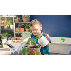 Casca de Pinus Polida Média 80 Litros para Jardim – Proteção do Solo e Acabamento Decorativo com Frete Grátis