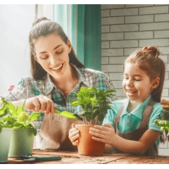 Casca de Pinus Polida Média 80 Litros para Jardim – Proteção do Solo e Acabamento Decorativo com Frete Grátis