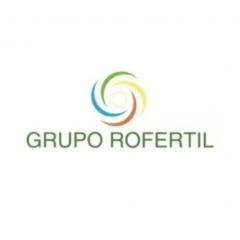 Kit 50 Bulbos Amarílis Cores Sortidas Selecionados Para Plantio Fácil Cultivo