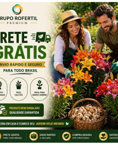 Kit 05 Bulbos Lírio Asiático Ideal Para Começar Seu Jardim Com Flores Lindas