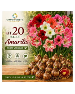 Kit 20 Bulbos Amarílis Cores Sortidas Selecionados Para Plantio Fácil Cultivo Kit 20 Bulbos Amarílis Cores Sortidas Selecionados Para Plantio Fácil Cultivo