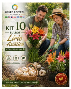 Kit 10 Bulbos Lírio Asiático Para Um Jardim Mais Bonito e Colorido