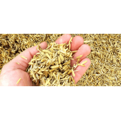 Casca de Arroz Natural 20 Litros  Original Lacrado