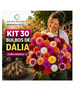 Kit 30 Bulbos de Dália Transforme Seu Jardim em um Verdadeiro Espetáculo